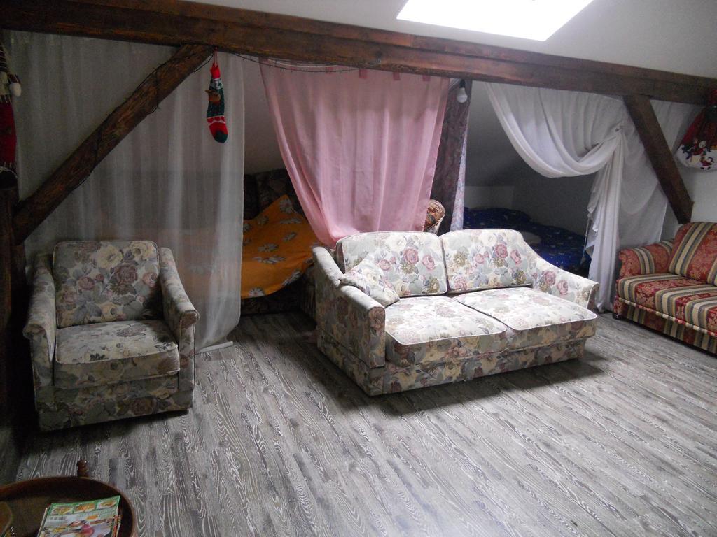 Cuibul Salamandrelor 호텔 사르미체게투사 외부 사진